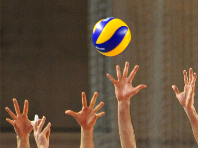 volei