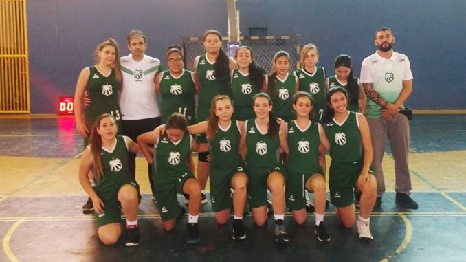 Basquete