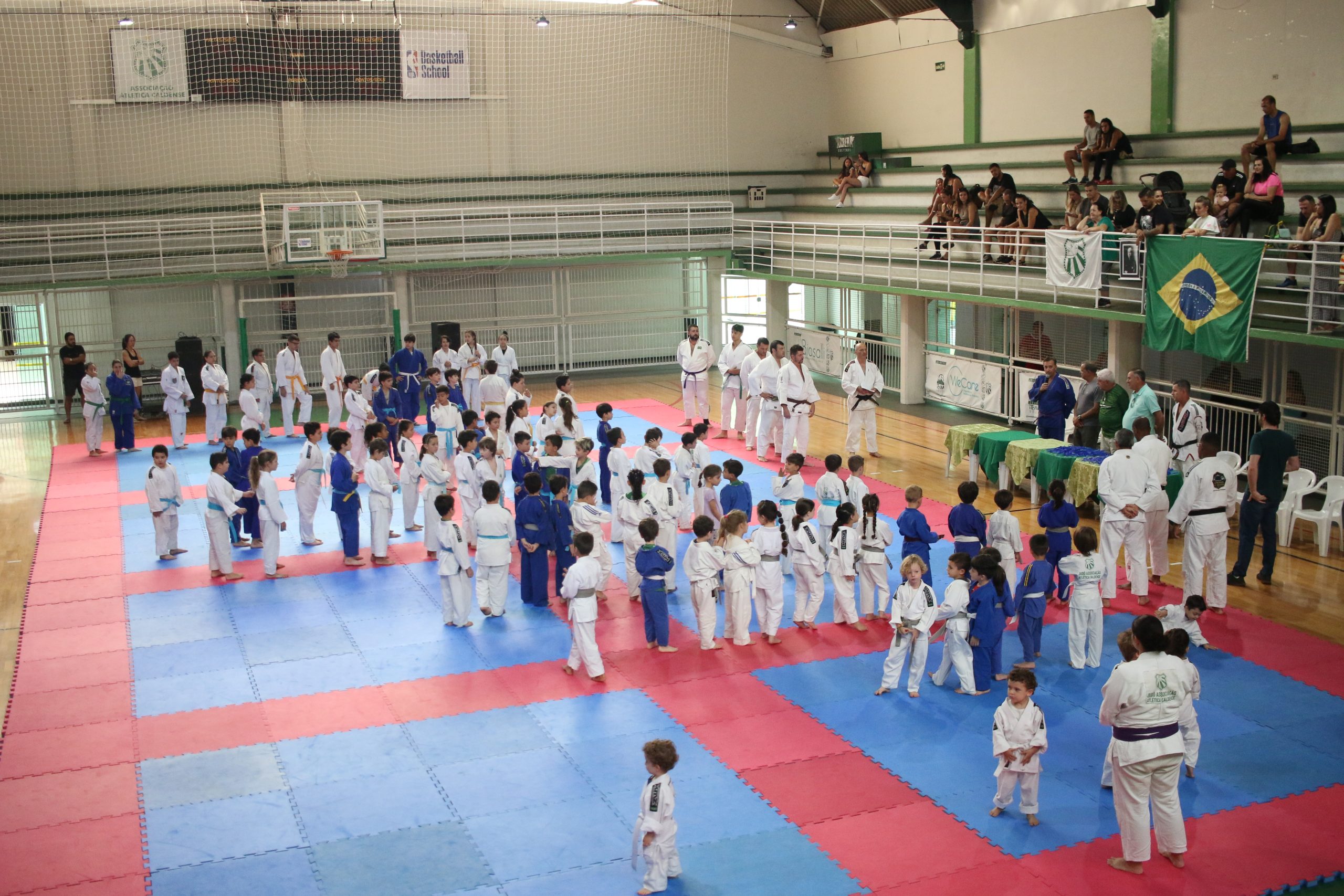 Festival de Judô da Caldense reúne centenas de atletas e celebra conquistas de alunos federados