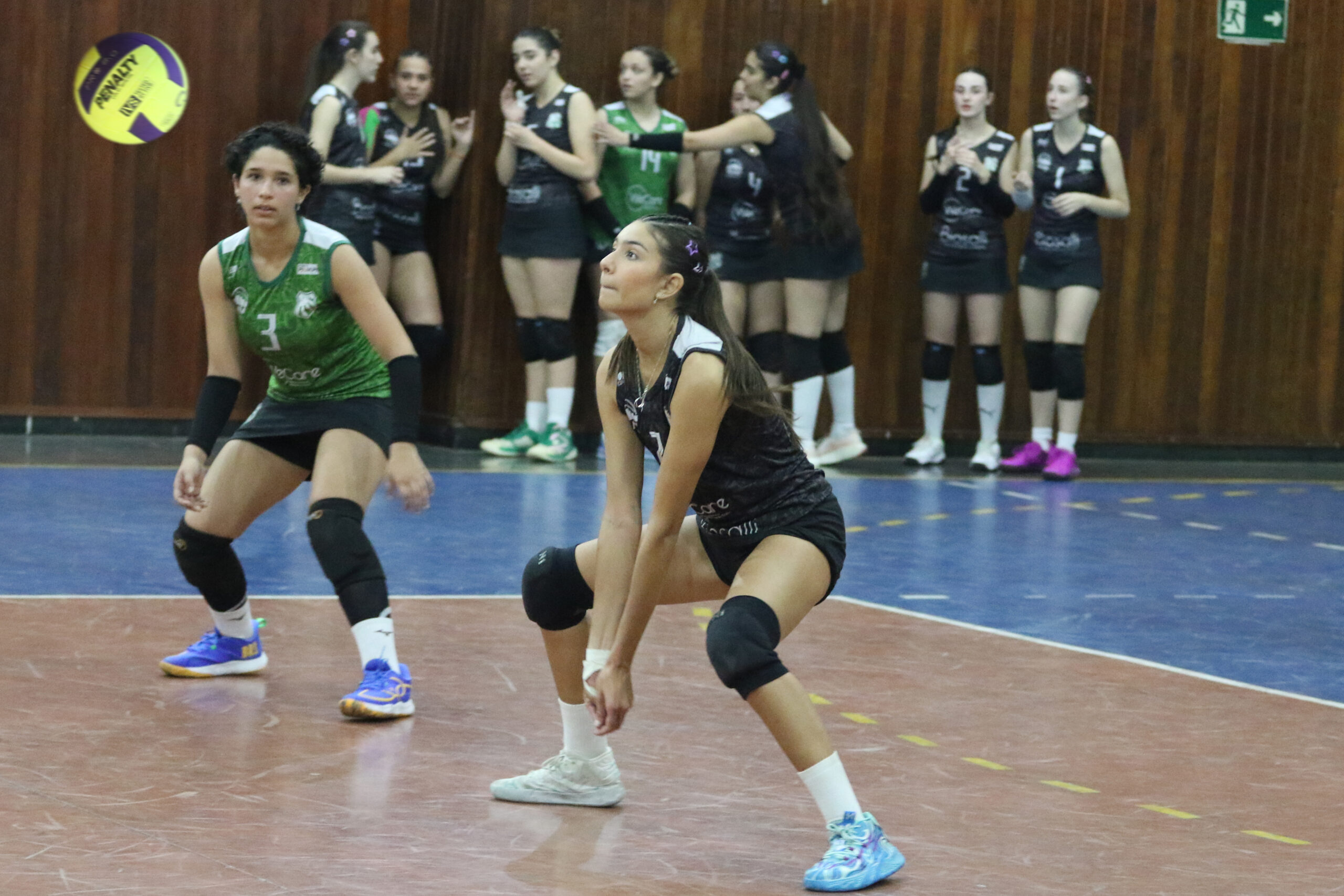 Vôlei Feminino da Caldense segue em evolução e foca em bons resultados no ano do centenário